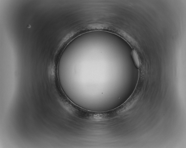 X0000116560064200912171418