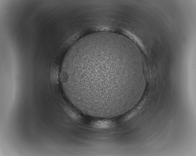 X0000116560065200912171418