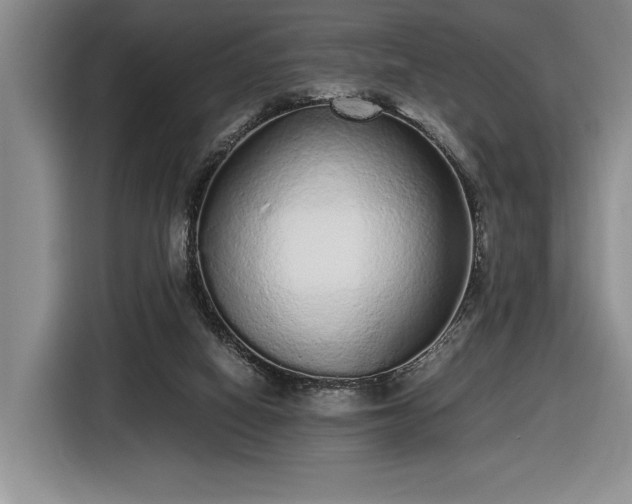 X0000116560066200912171418