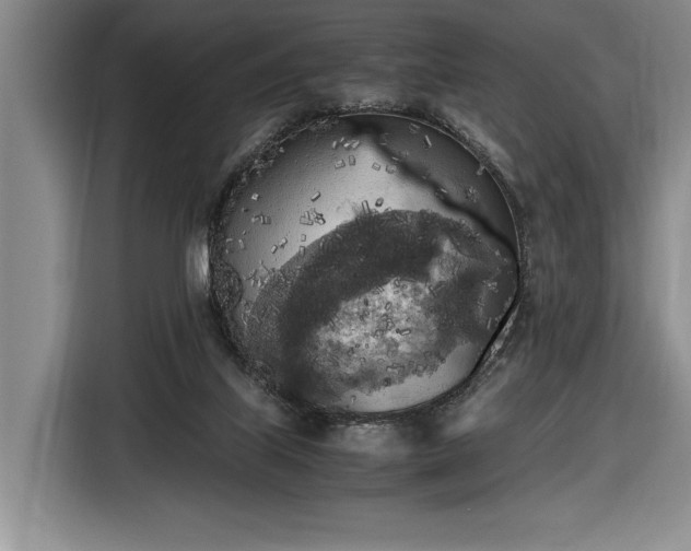 X0000116560067200912171418