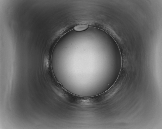 X0000116560068200912171418