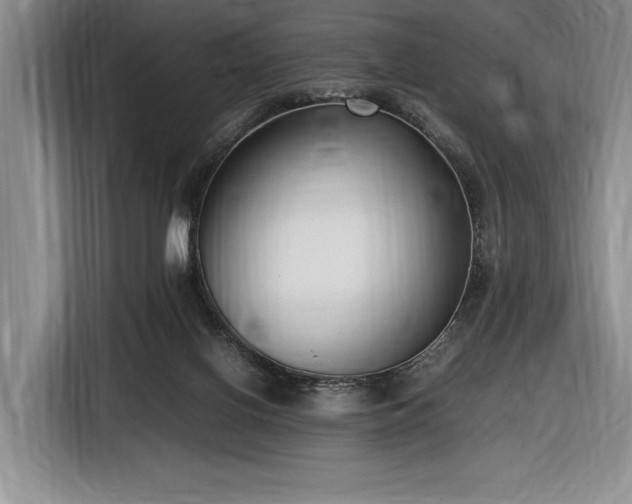 X0000116560070200912171418