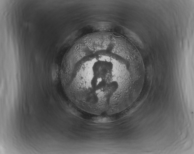 X0000116560073200912171418