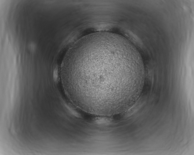 X0000116560074200912171418