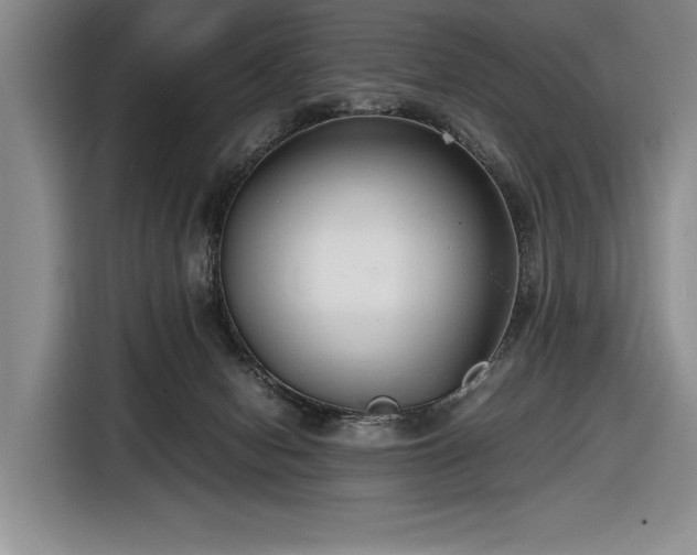 X0000116560078200912171418