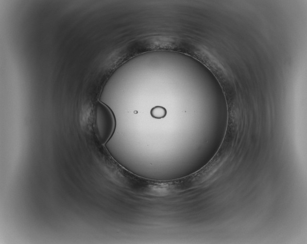 X0000116560079200912171418