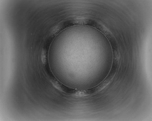 X0000116560080200912171418