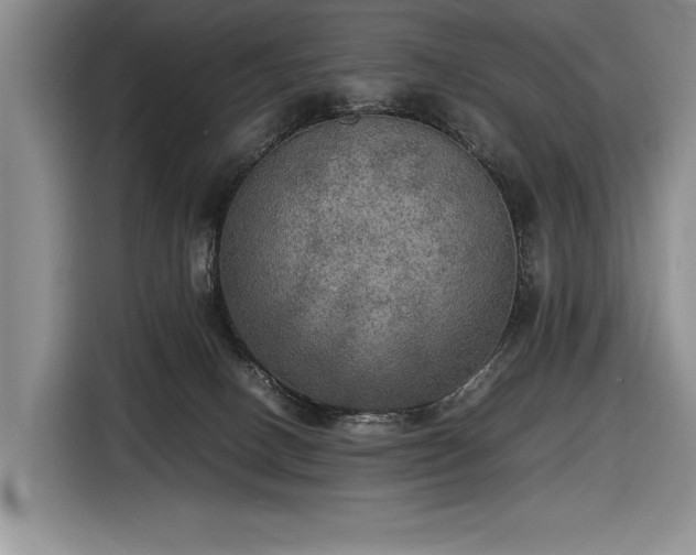 X0000116560082200912171418