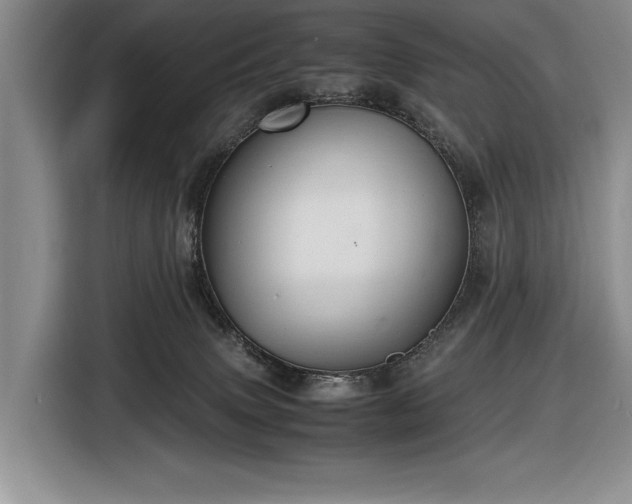 X0000116560083200912171418