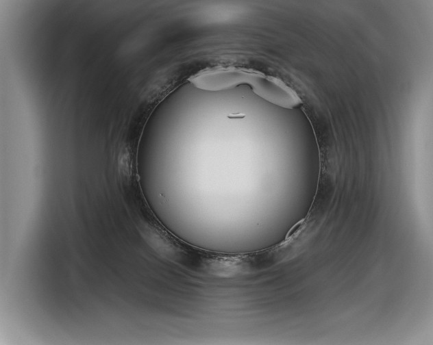 X0000116560086200912171418