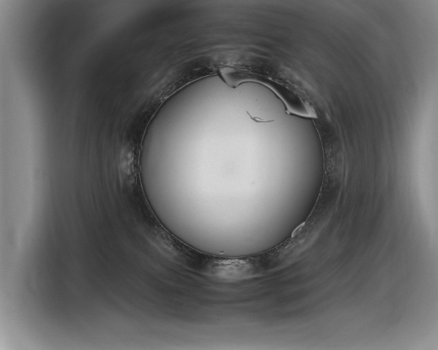 X0000116560087200912171418