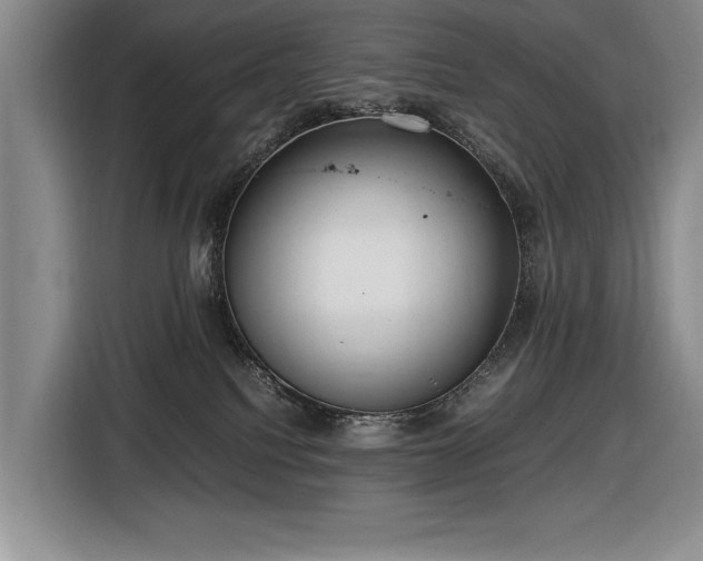 X0000116560088200912171418