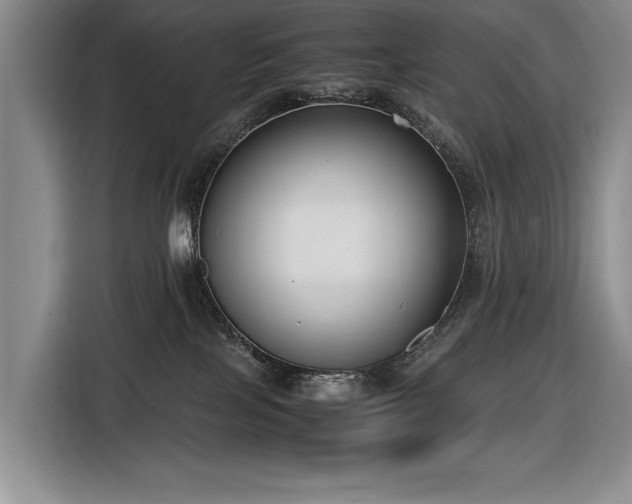 X0000116560089200912171418