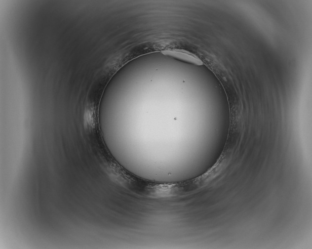 X0000116560090200912171418