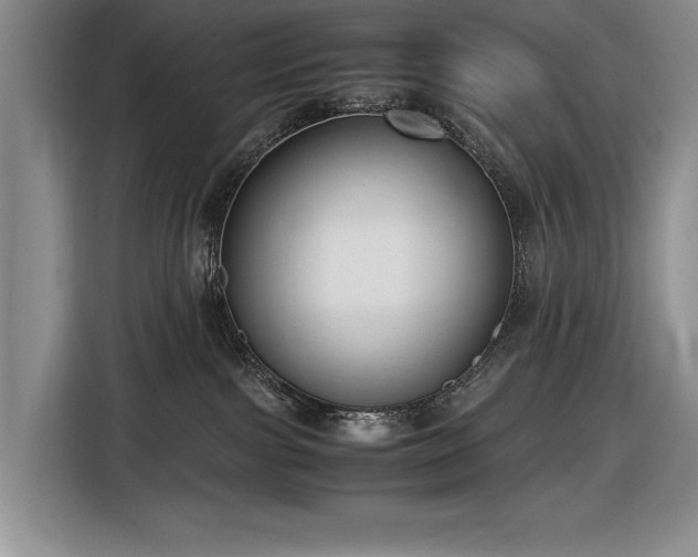 X0000116560091200912171418