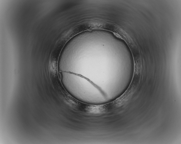 X0000116560093200912171418