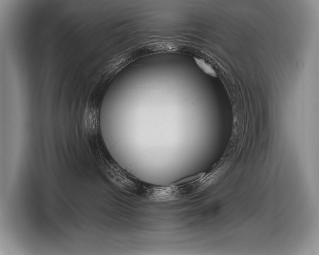 X0000116560096200912171418