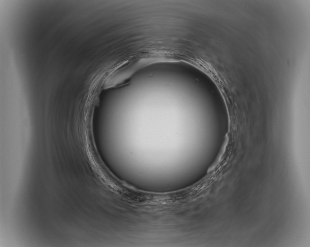 X0000116560097200912171418