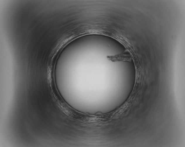 X0000116560098200912171418