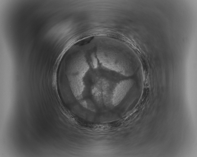 X0000116560099200912171417