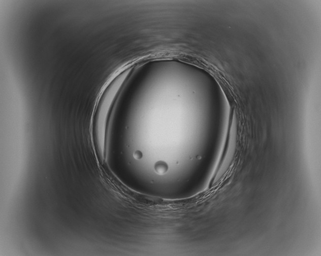 X0000116560100200912171417