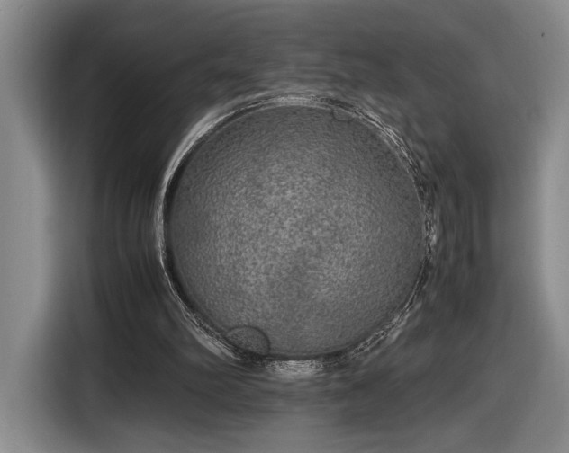 X0000116560102200912171417