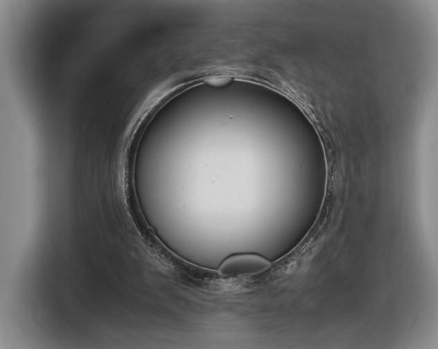 X0000116560103200912171417