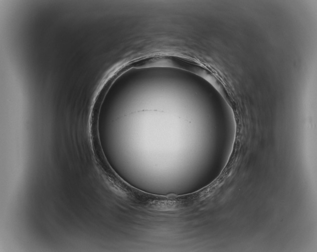 X0000116560104200912171417