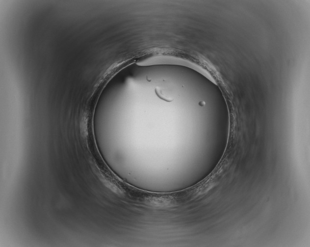 X0000116560106200912171417