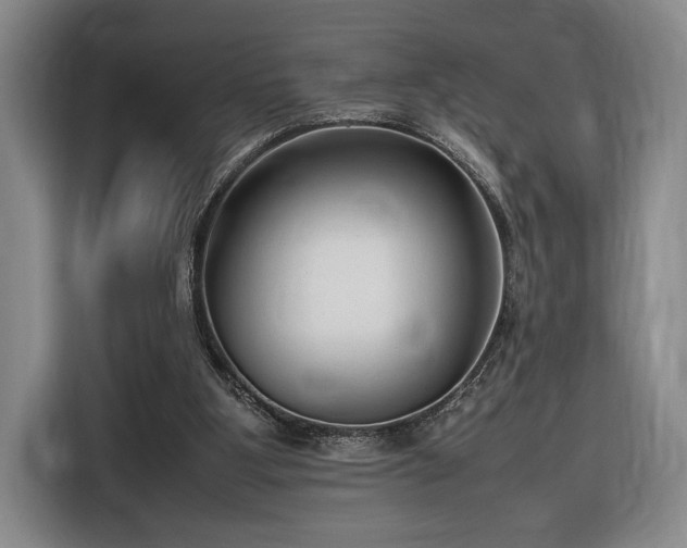 X0000116560107200912171417