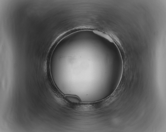 X0000116560108200912171417