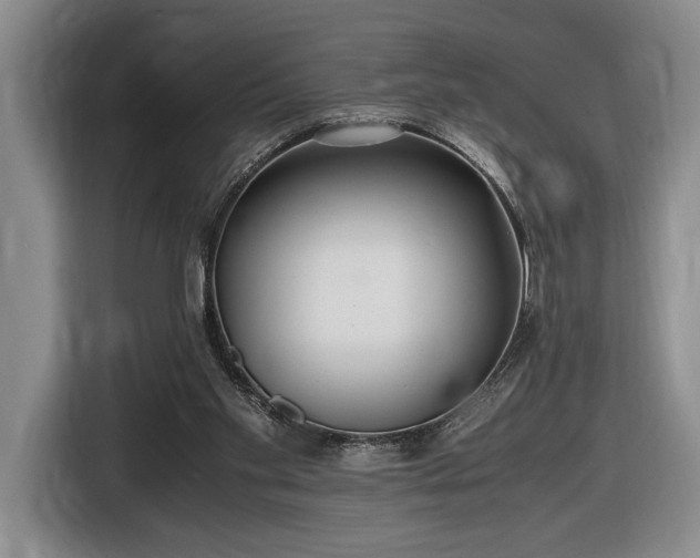 X0000116560109200912171417