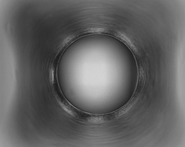 X0000116560110200912171417