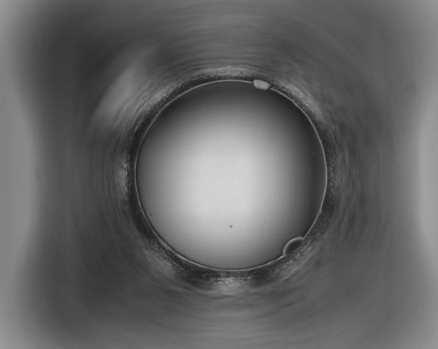 X0000116560111200912171417