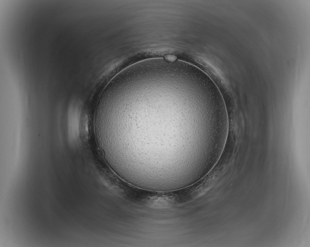 X0000116560115200912171417