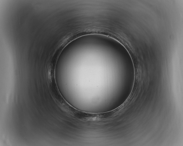 X0000116560116200912171417