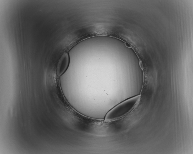 X0000116560117200912171417