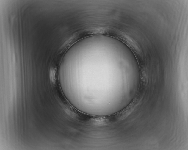 X0000116560118200912171417