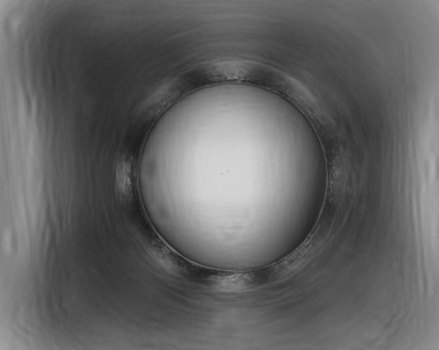 X0000116560122200912171417