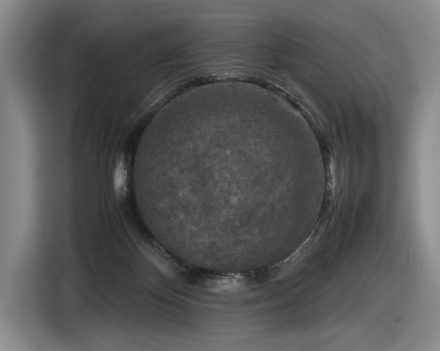 X0000116560124200912171417