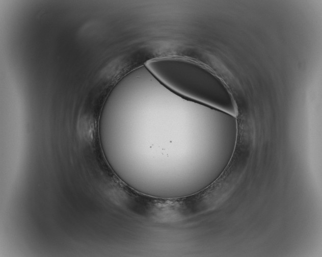 X0000116560125200912171417