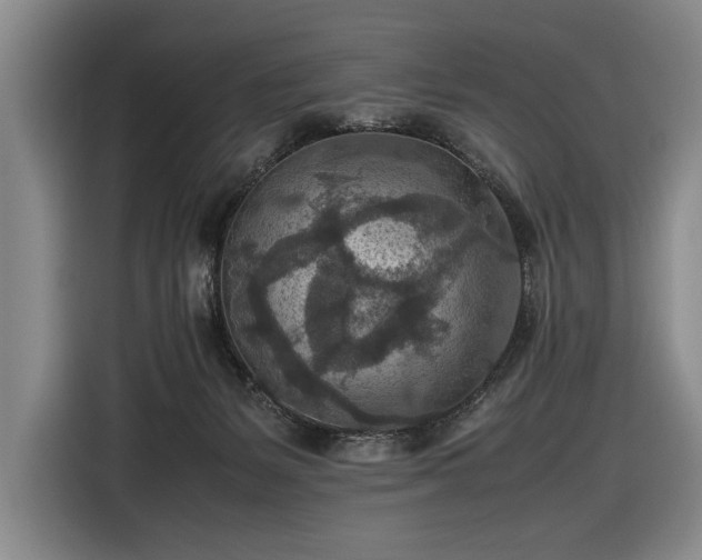 X0000116560127200912171417