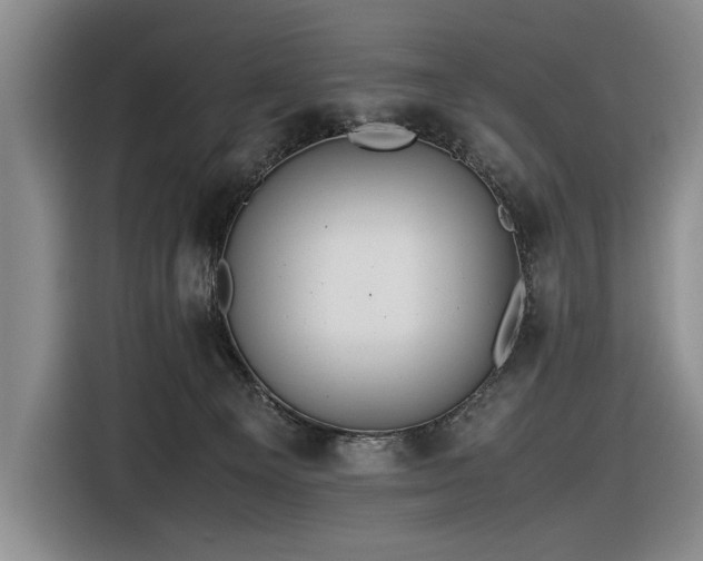 X0000116560129200912171417