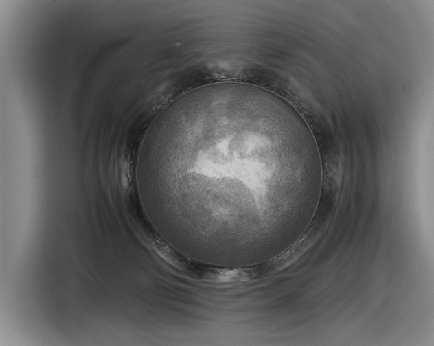 X0000116560130200912171417