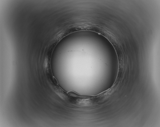 X0000116560132200912171417