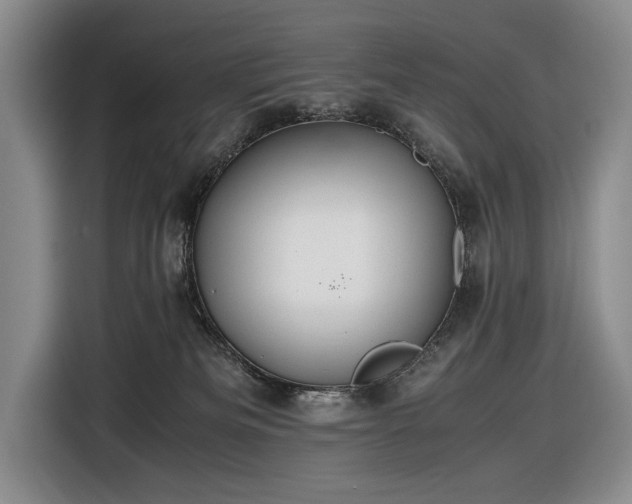 X0000116560133200912171417