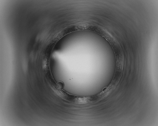 X0000116560134200912171417