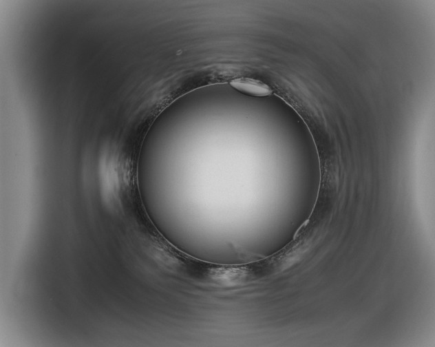 X0000116560135200912171417