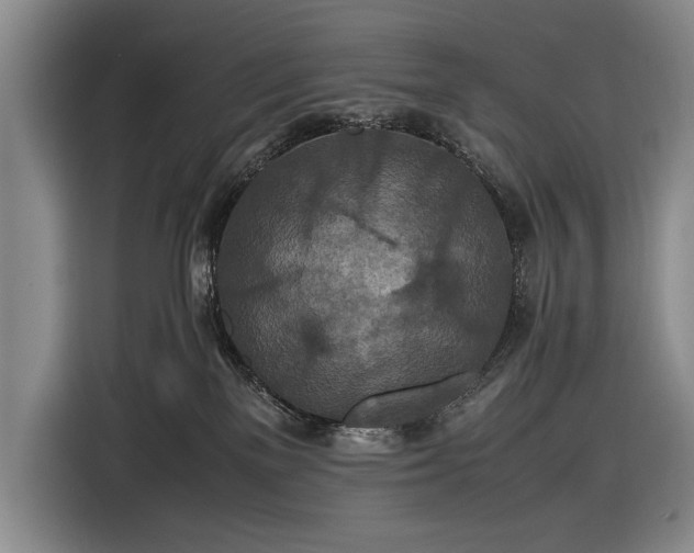 X0000116560137200912171417