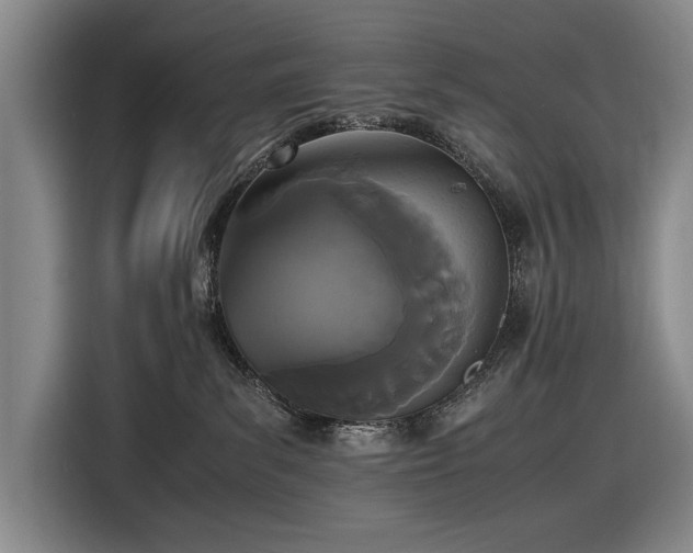 X0000116560139200912171417